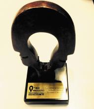 Trofeo del premio InformationWeek México del sector público 2014